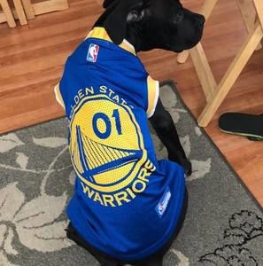 Meet your Posher, Ronald